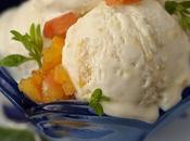 Glace Express l’Abricot, sans Sorbetière.