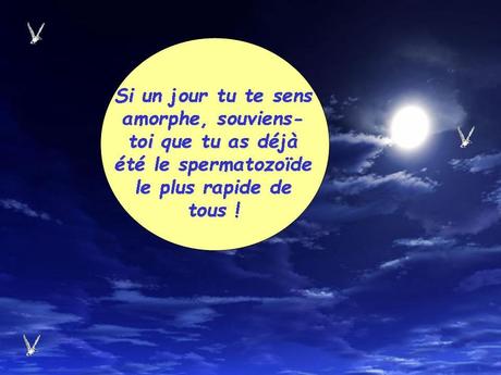 Divers - quelques Dictons - 