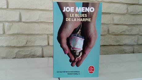 Le blues de La Harpie – Joe Meno