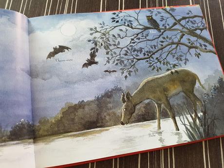 L'odyssée des rivières - Un écosystème aquatique de Elisabeth Dumont-Le Cornec et Capucine Mazille