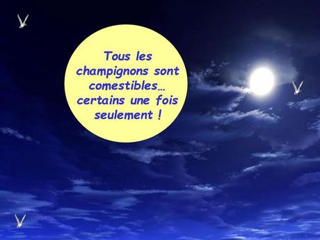 Divers - quelques Dictons - 2