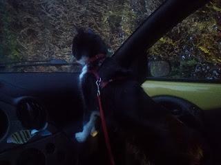 1549. Devoir changer de voiture 1549. Devoir changer de voiture