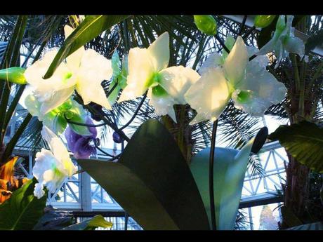 Divers - La Maitre verrier - 1