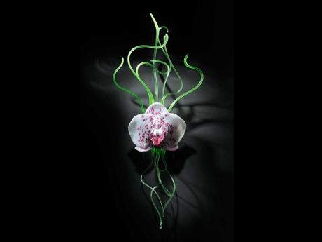 Divers - La Maitre verrier - 1