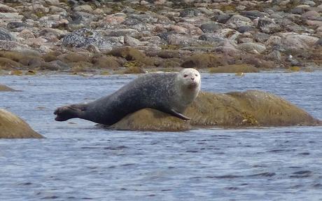 Quoi faire à Sept-Îles Quoi faire à Sept-Îles
