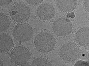 CANCER nanoparticules sensorielles pour détecter