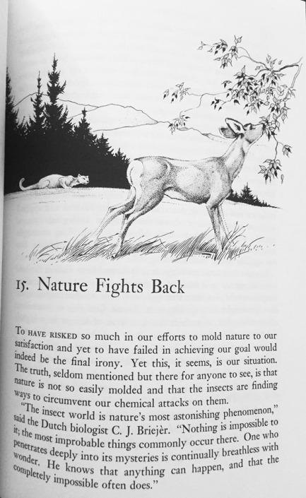 Hors-série : le premier essai écolo de Rachel Carson (1962)