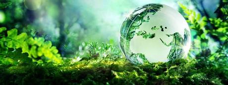 coupe menstruelle écologique