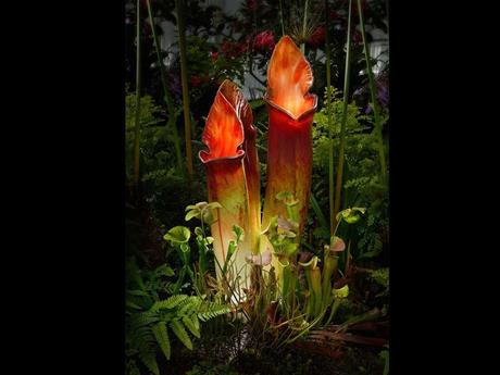 Divers - La Maitre verrier - 2