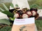 L’immoraliste André Gide, classique redécouvrir Passionnant dérangeant...