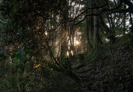 Du haut de Gurung Hill