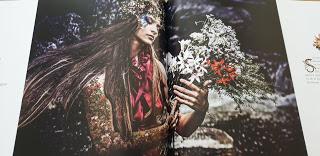 A l'heure où les fées paraissent de Richard Ely et Christel art fantasy