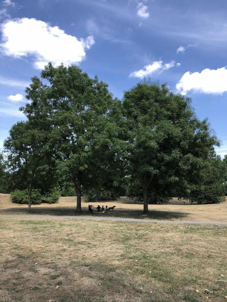 Le roman que je n’écrirai jamais Le roman que je n’écrirai jamais