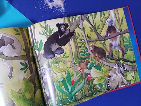 Cap sur les îles ! - L'endémisme de Emmanuelle Grundmann et Céline Manillier