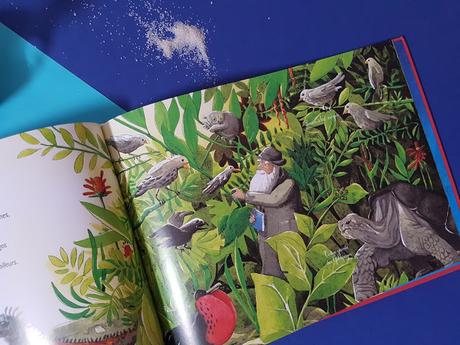 Cap sur les îles ! - L'endémisme de Emmanuelle Grundmann et Céline Manillier