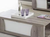 Table basse couleur bois blanc