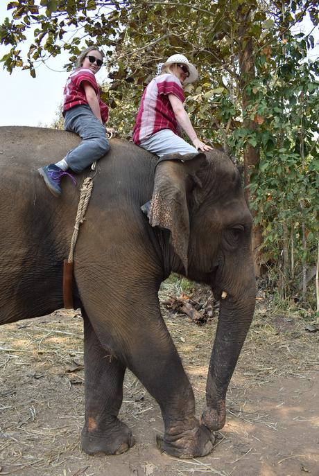 La Thaïlande et les éléphants