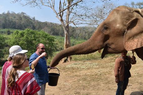 La Thaïlande et les éléphants La Thaïlande et les éléphants