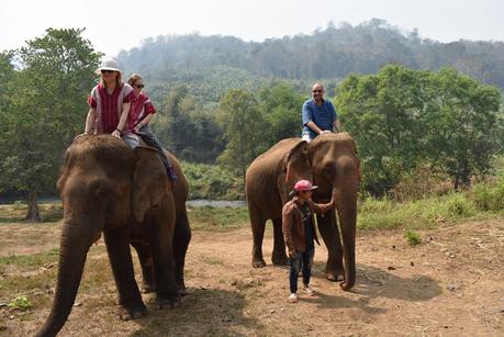 La Thaïlande et les éléphants
