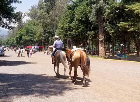 Tout savoir pour visiter Xochimilco à Mexico