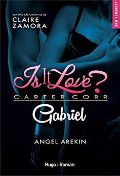 Mon avis sur Is It Love ? Gabriel d'Angel Arekin