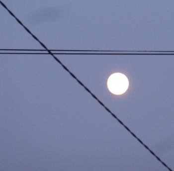 carnet photo,petits riens,quotidien,lune,cheval,lézard,chat,verre de porto,malvasia,porto blanc,blog littéraire de christian cottet-emard,images,christian cottet-emard,au fil des jours,contemplation,regard,habiter,instants,moments à poèmes