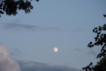 carnet photo,petits riens,quotidien,lune,cheval,lézard,chat,verre de porto,malvasia,porto blanc,blog littéraire de christian cottet-emard,images,christian cottet-emard,au fil des jours,contemplation,regard,habiter,instants,moments à poèmes