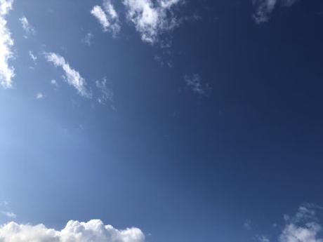 BSF 2019 : Girls Power