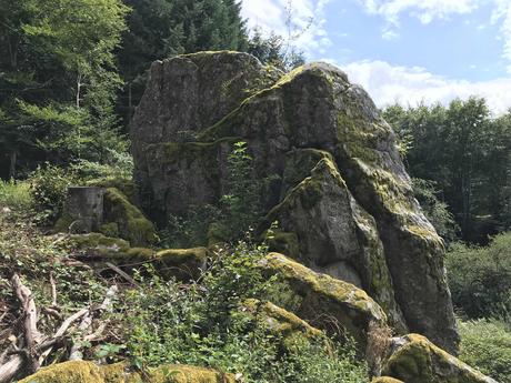 La pierre du renard #Forez #Loire