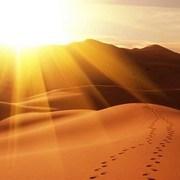 Stages et séjours en France, Belgique, Maroc et Sri Lanka avec Dominique Jeanneret