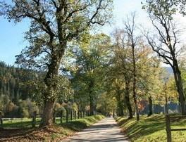 Stages et séjours en France, Belgique, Maroc et Sri Lanka avec Dominique Jeanneret
