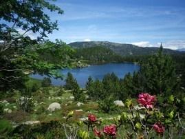 Stages et séjours en France, Belgique, Maroc et Sri Lanka avec Dominique Jeanneret