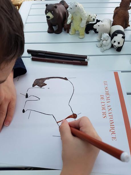 Exploitation Album La chasse à l'ours maternelle (Moyenne section ) : Fiches, Activités, Arts visuels