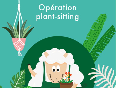 Je pars en vacances...et mes plantes ?