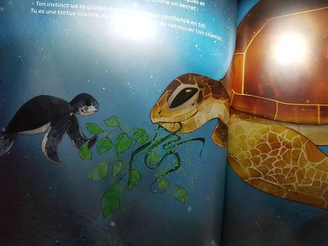 Ondine et Marin - La petite tortue marine - Editions Mémoires d'océans