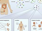 #Cell #microbiome #génomique Analyses Grande Échelle Microbiome Humain Révèlent Milliers Nouveaux Petits Gènes