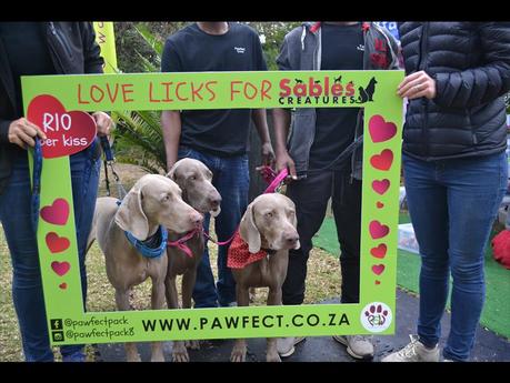 News bière – 4e édition annuelle du festival de la bière artisanale, du gin on robinet, du vin et de la musique de Sables Creatures
 – Bière blonde