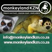 News bière – 4e édition annuelle du festival de la bière artisanale, du gin on robinet, du vin et de la musique de Sables Creatures
 – Bière blonde