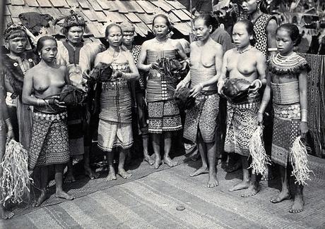 Iban-head_feastV0037464 Iban-head_feastV0037464