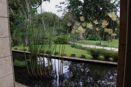 Evasion en Martinique…