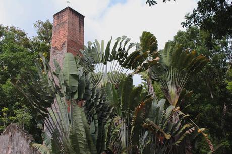 Evasion en Martinique…