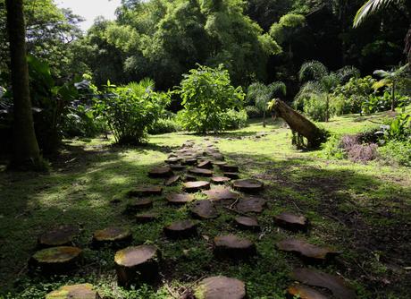 Evasion en Martinique…