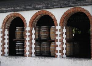 Evasion en Martinique…