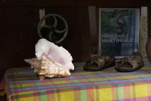 Evasion en Martinique…