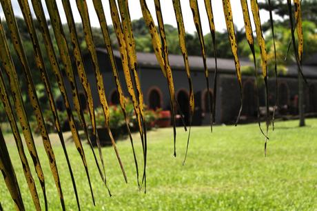 Evasion en Martinique…