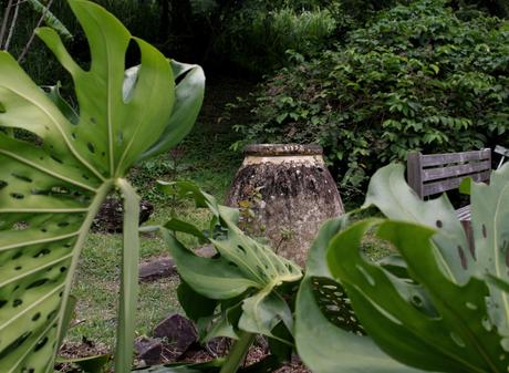 Evasion en Martinique…