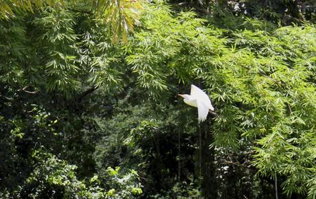 Evasion en Martinique…