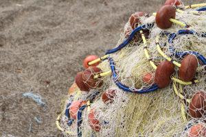 Evasion en Martinique…