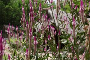 Evasion en Martinique…