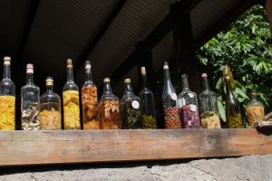 Evasion en Martinique…